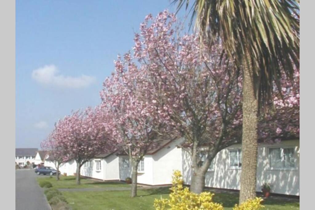 Perfect For The Family And Beaches - Gower Cwtch Villa Swansea Bagian luar foto